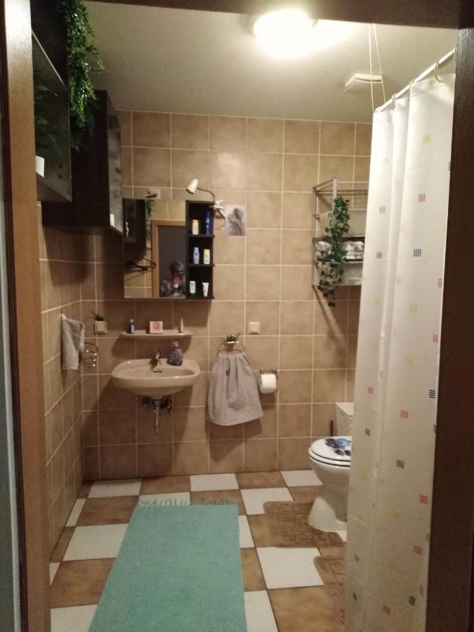 Studiowohnung, Neu Renoviert, Zentrale Lage Saarlouis Dış mekan fotoğraf